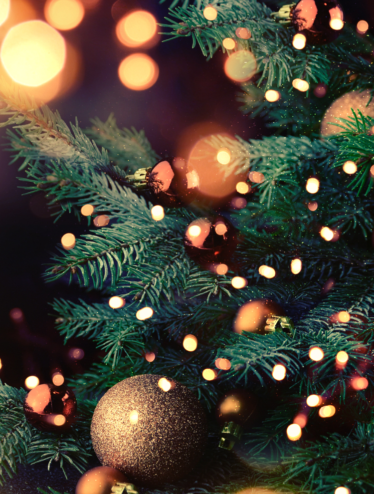 おすすめのクリスマスプレゼントを2つの視点でピックアップ。ファッション系ギフト5選
